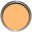Colours Mandarin Satin Metal & wood paint, 0.75L