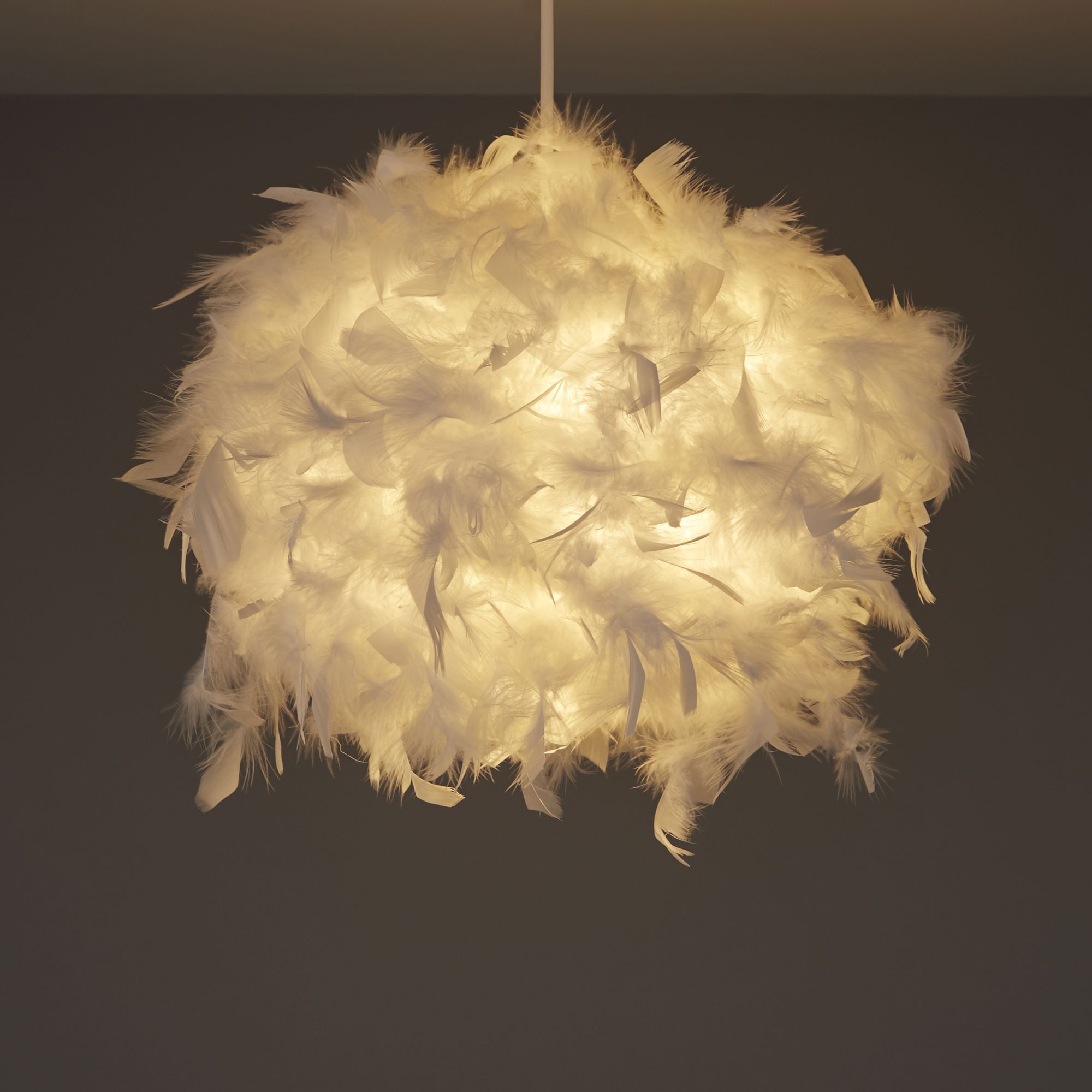 Large fluffy deals light shade