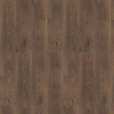 Colours Overture Wood planks Virginia oak effect Laminate Flooring, 1.25m²