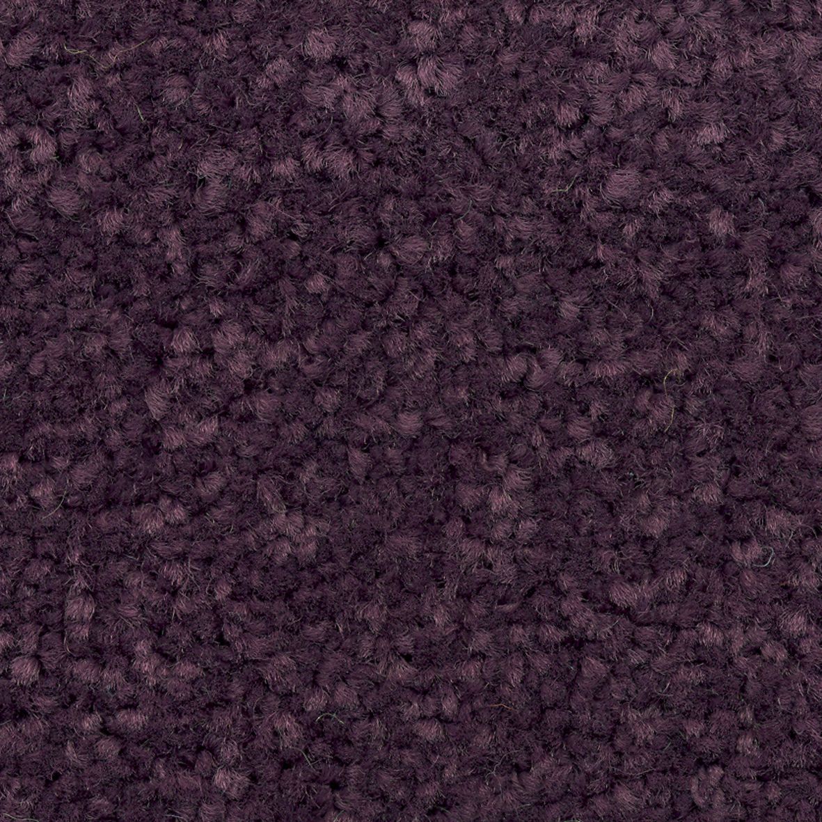 Colours Plum Carpet tile, (L)500mm x (W)500mm