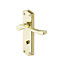 Colours Sheya Polished Brass effect Aluminium Scroll WC Door handle (L)111mm, Pair