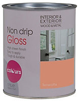 Colours Terracotta Gloss Metal & wood paint, 750ml
