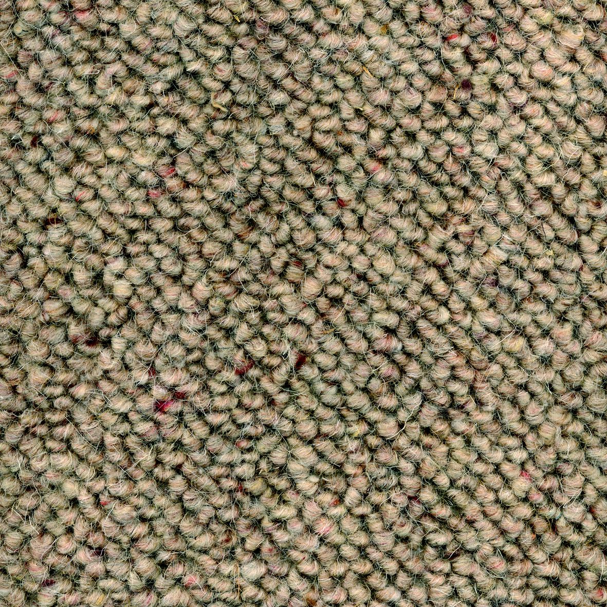 Colours Tuscany Barley Carpet | DIY at B&Q