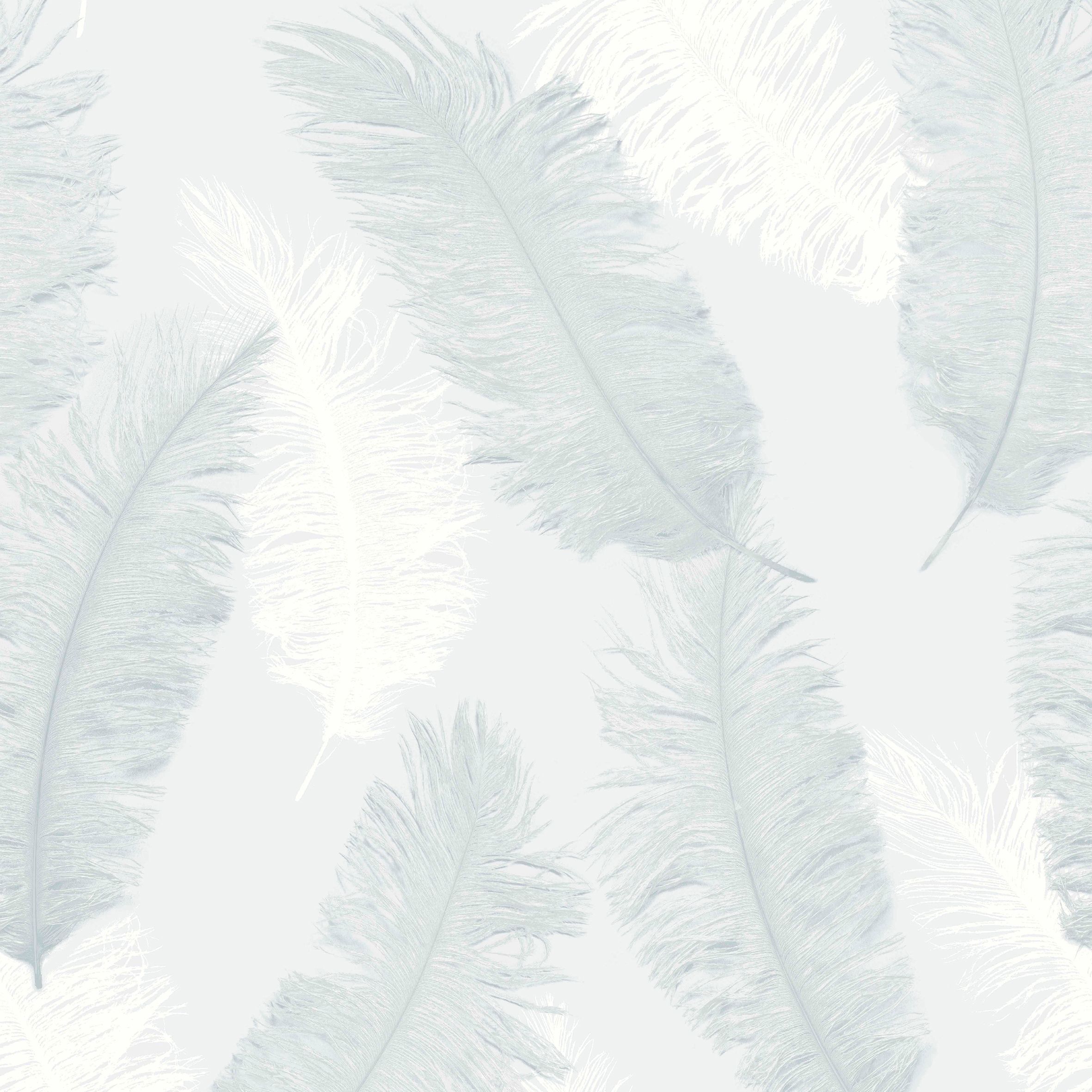 blue feather wallpaper