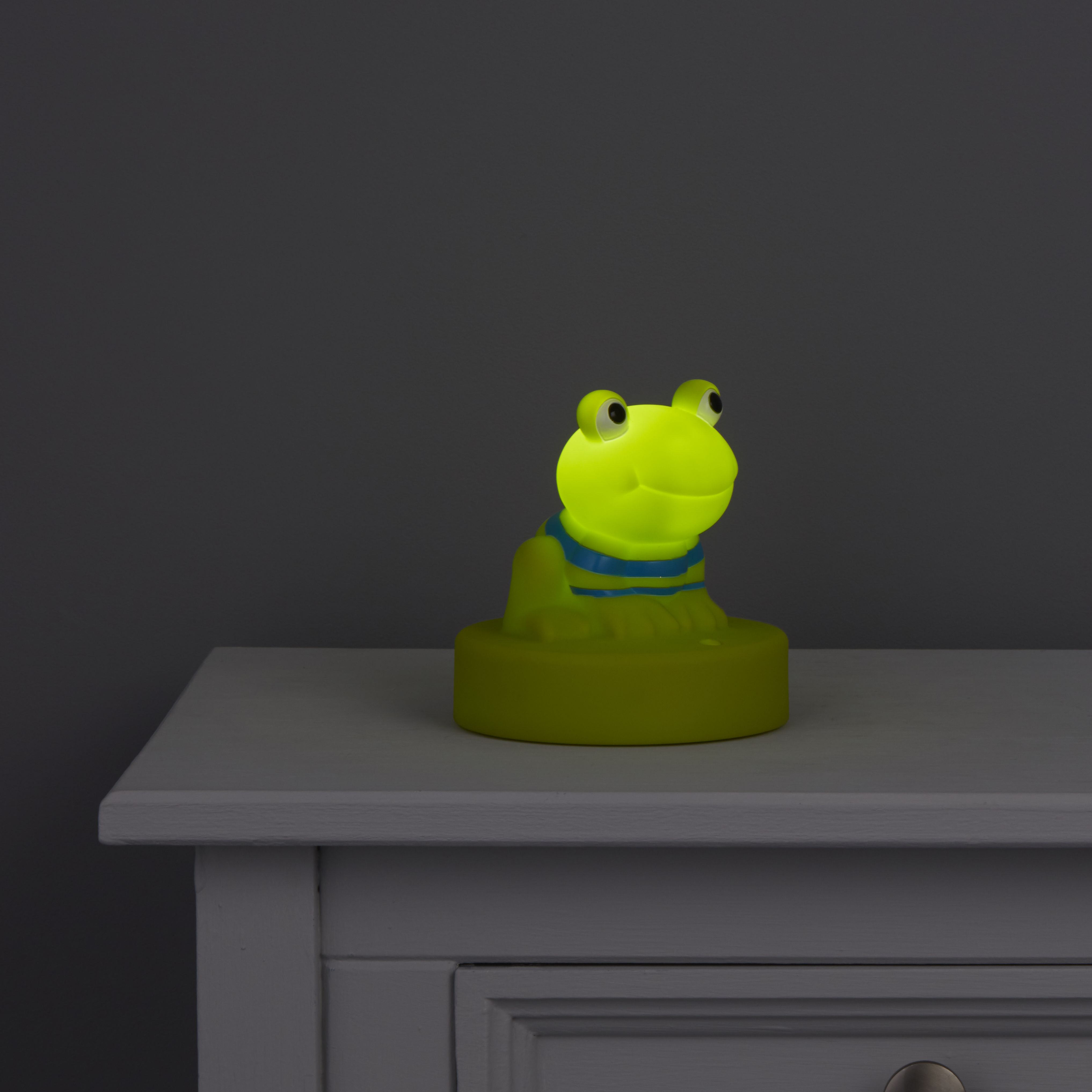 Comfort Matt Frog LED Night light DIY at B&Q