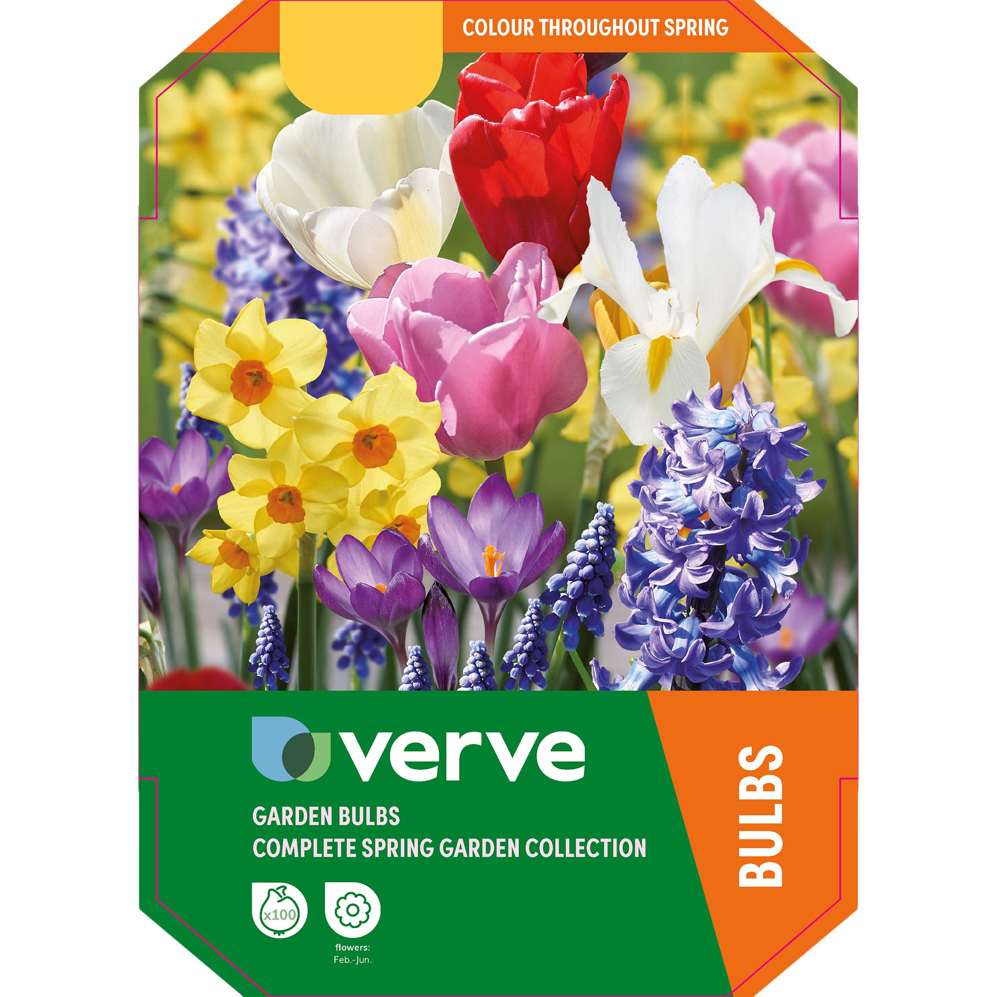 Complete Spring Garden Collection 100 Flower bulbs