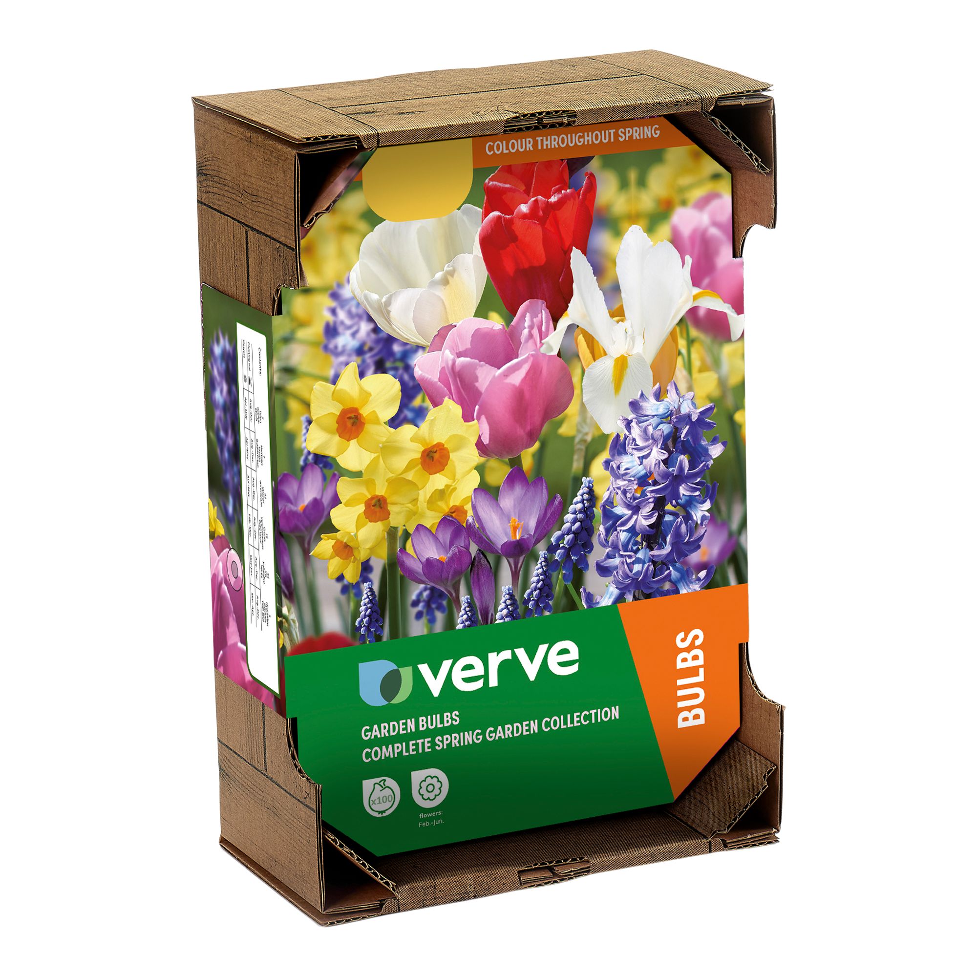 Complete Spring Garden Collection 100 Flower bulbs
