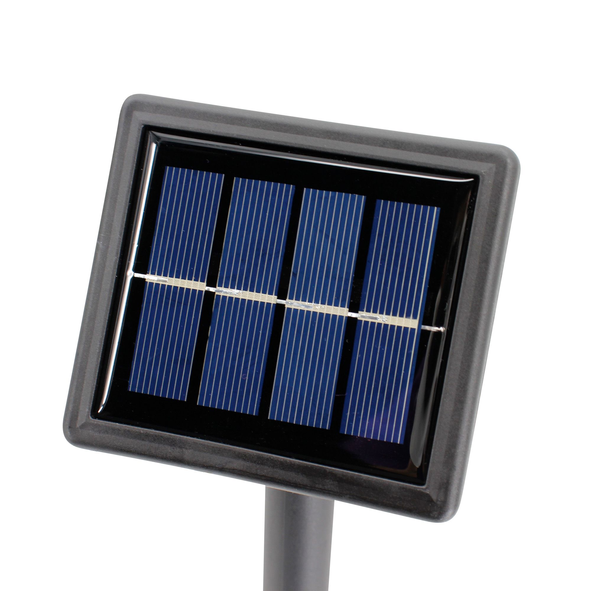 Coogee Green & black Topiary plastic grass ball Solar-powered ...