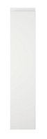 Cooke & Lewis Appleby High Gloss White Standard Cabinet door (W)150mm (H)715mm (T)22mm