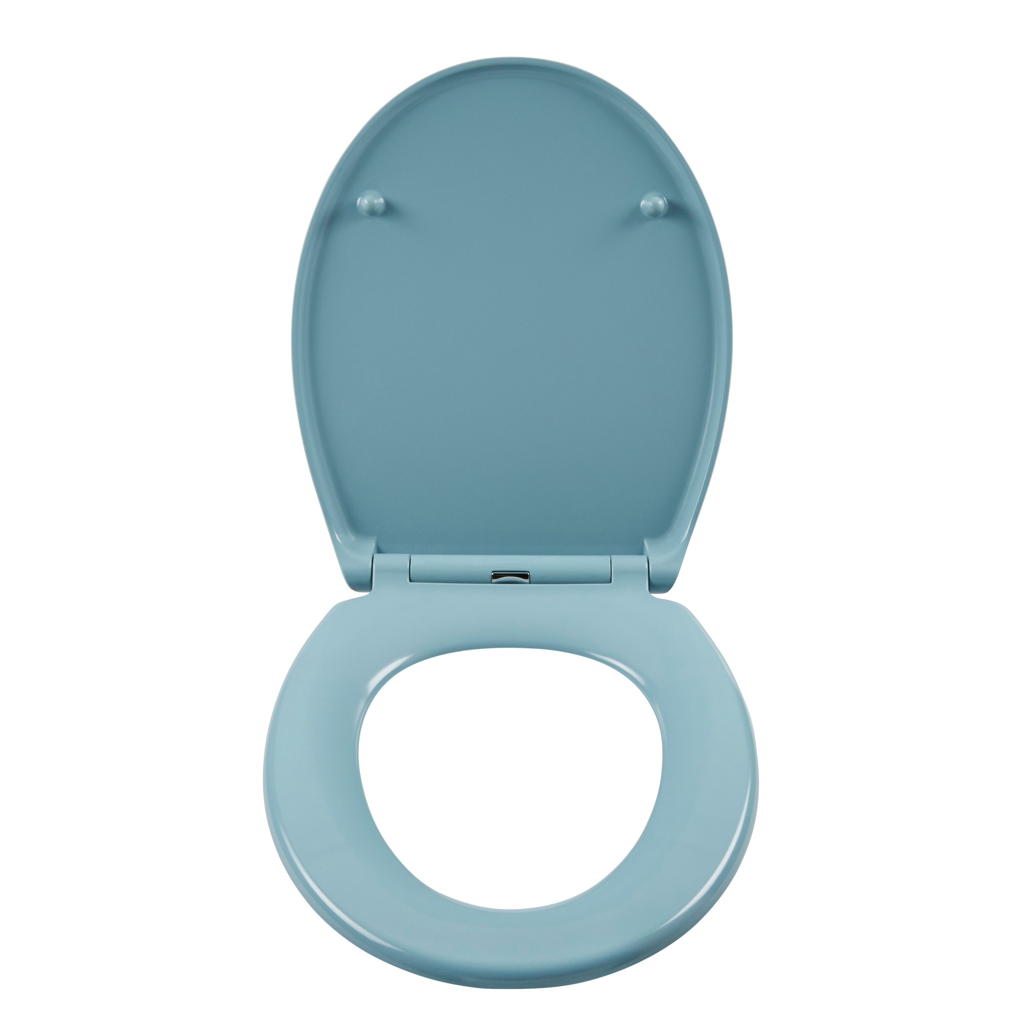 Blue plastic on sale toilet seat