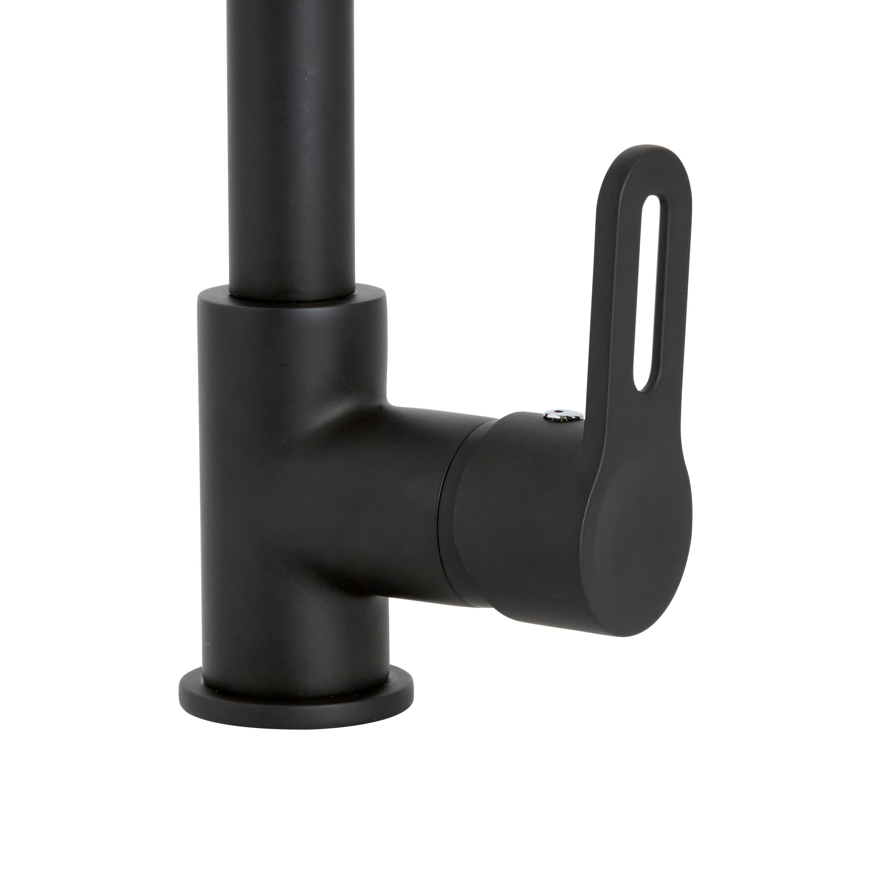 Cooke & Lewis Flinter Black Kitchen Side lever spring neck Tap