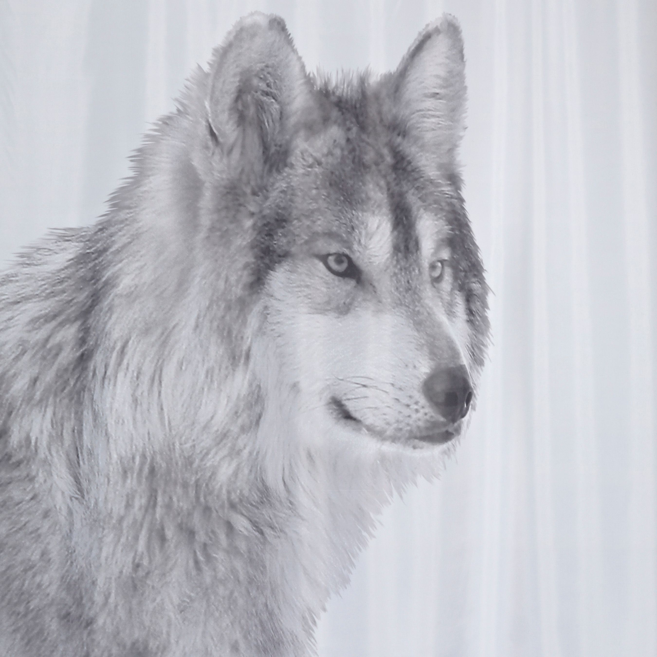 Cooke & Lewis Grey Terra wolfe Shower curtain (L)1800 mm