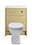 Cooke & Lewis Octavia Back to wall Toilet