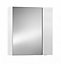Cooke & Lewis Paolo Gloss White Mirrored Cabinet (W)600mm (H)672mm