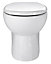 Cooke & Lewis Tyler White Back to wall Toilet with Standard close seat
