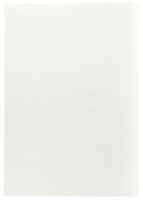 Cooke & Lewis White Appliance & larder Corner unit blanking panel (H)719mm (W)459mm