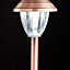 Copper effect Solar-powered LED Outdoor Spike light