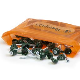 Corrapol-BT Green Rubber & steel Roofing screw (L)60mm, Pack of 50