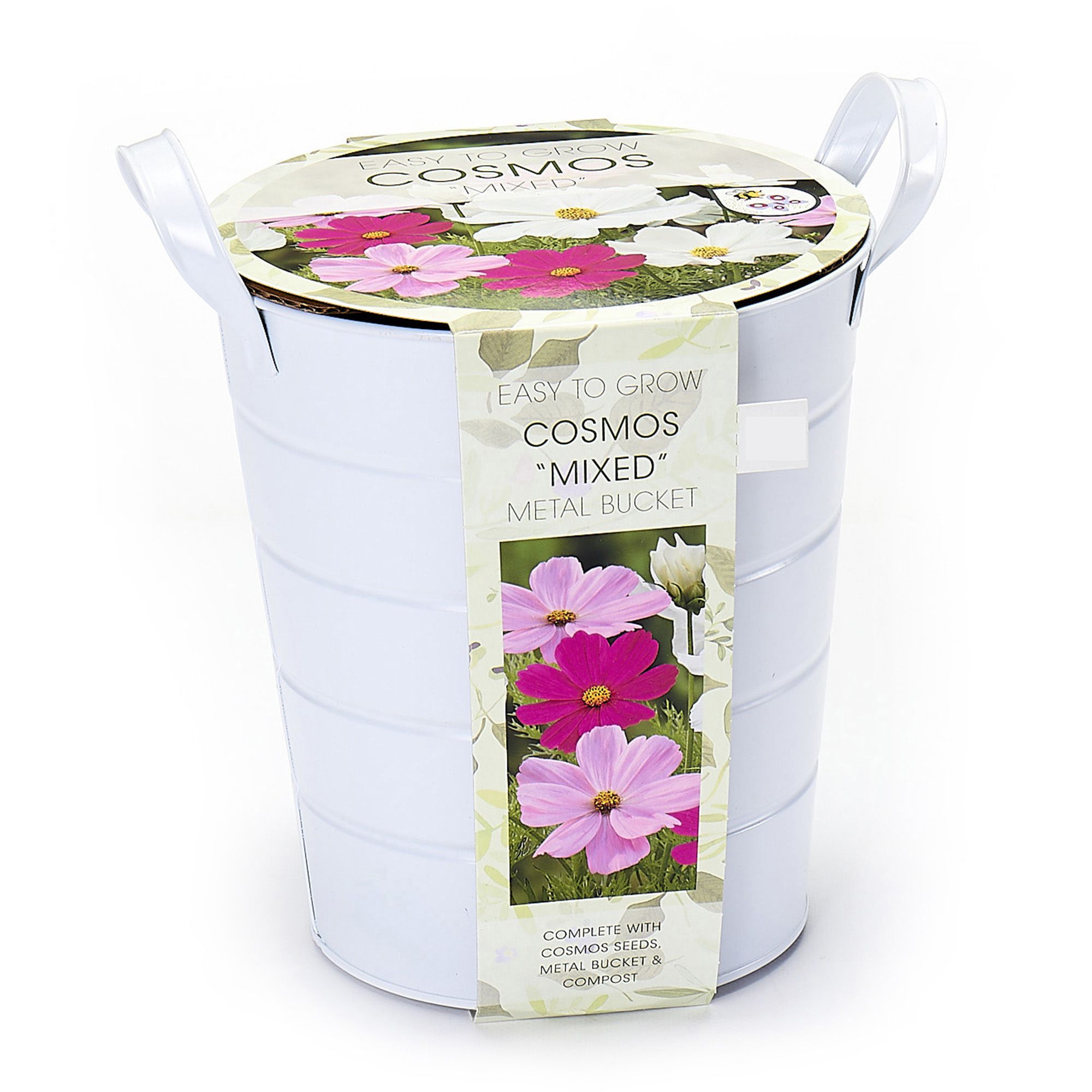 Cosmos Growing kit