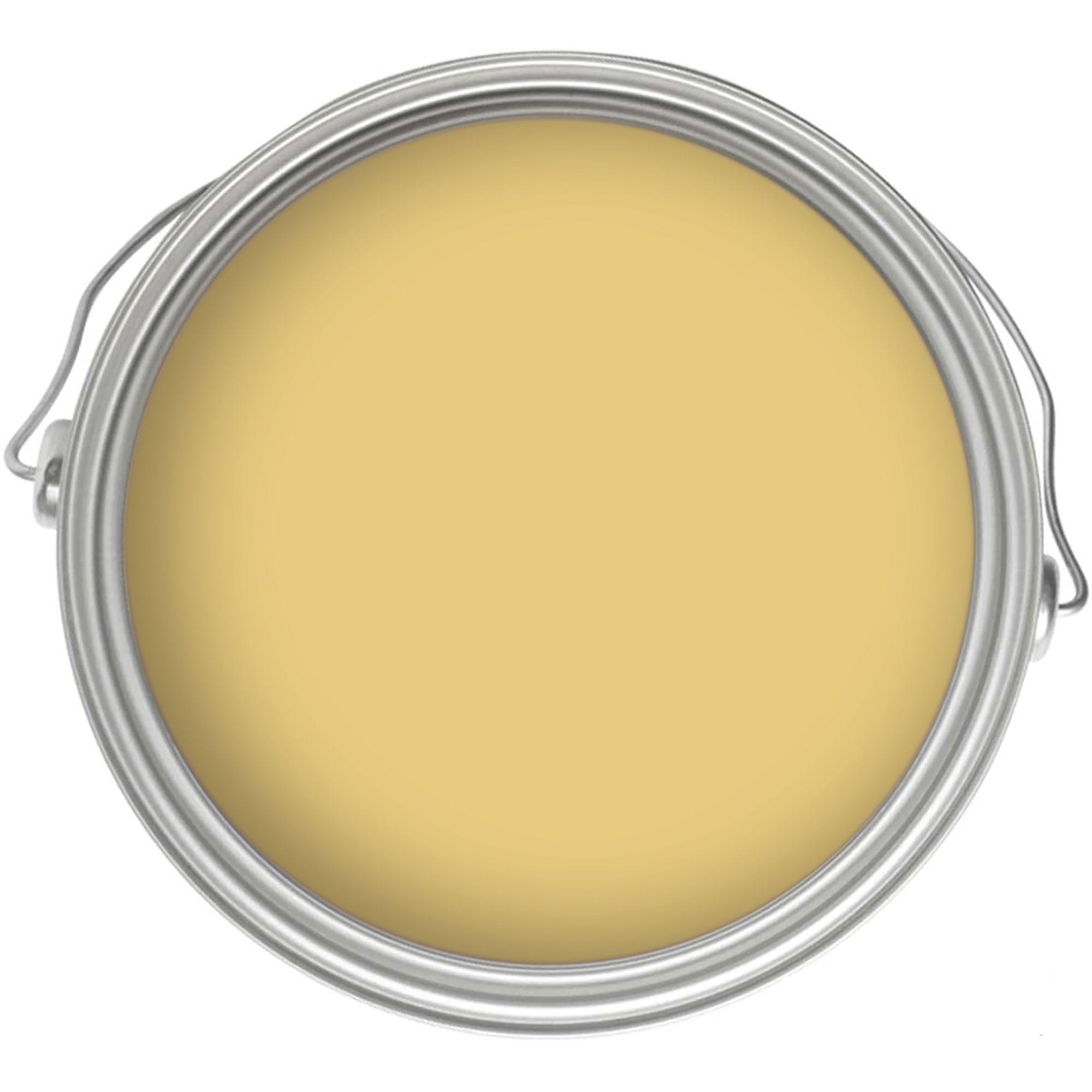 Craig & Rose 1829 Gloriana Chalky Emulsion paint, 2.5L