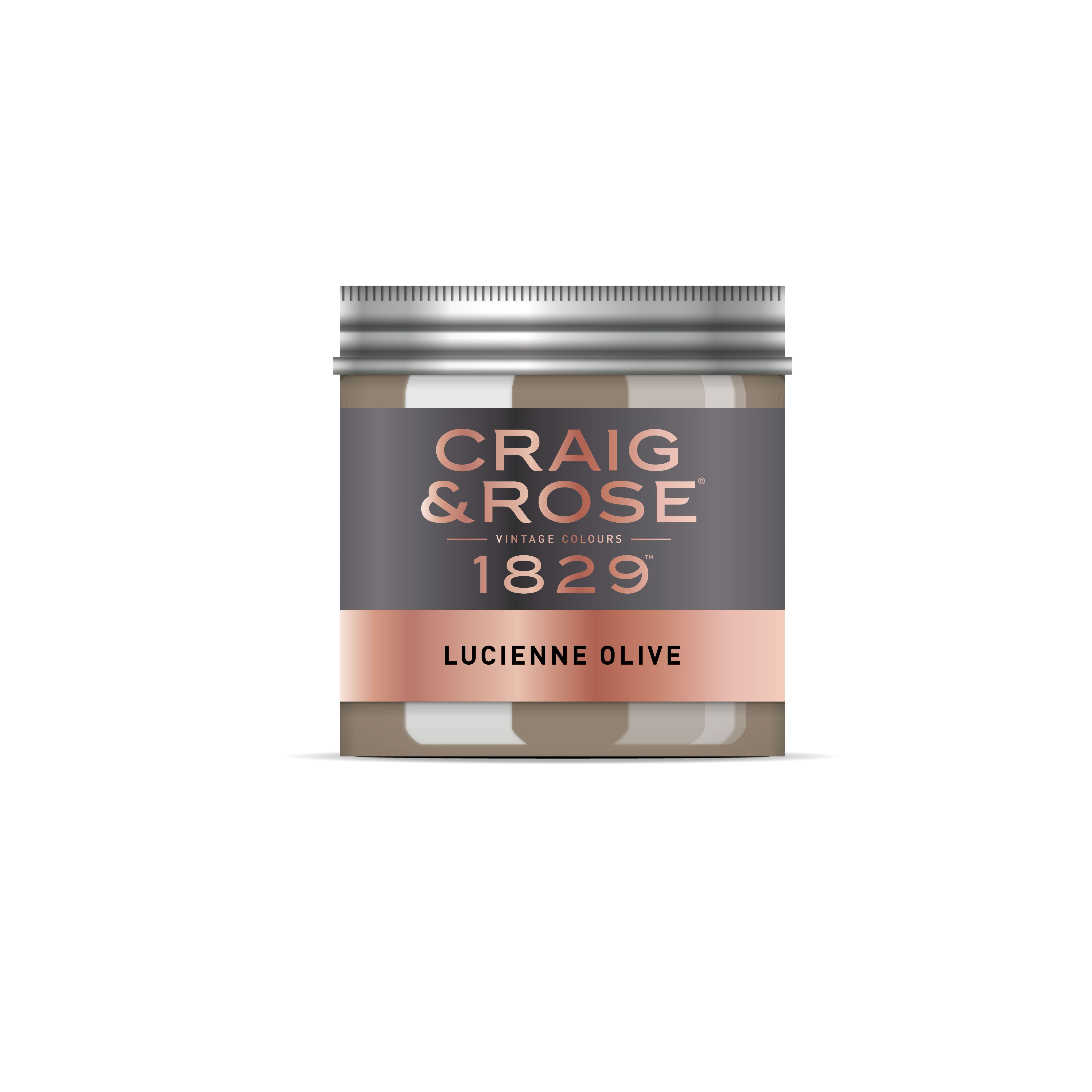 Craig & Rose 1829 Lucienne Olive Chalky Emulsion paint, 50ml