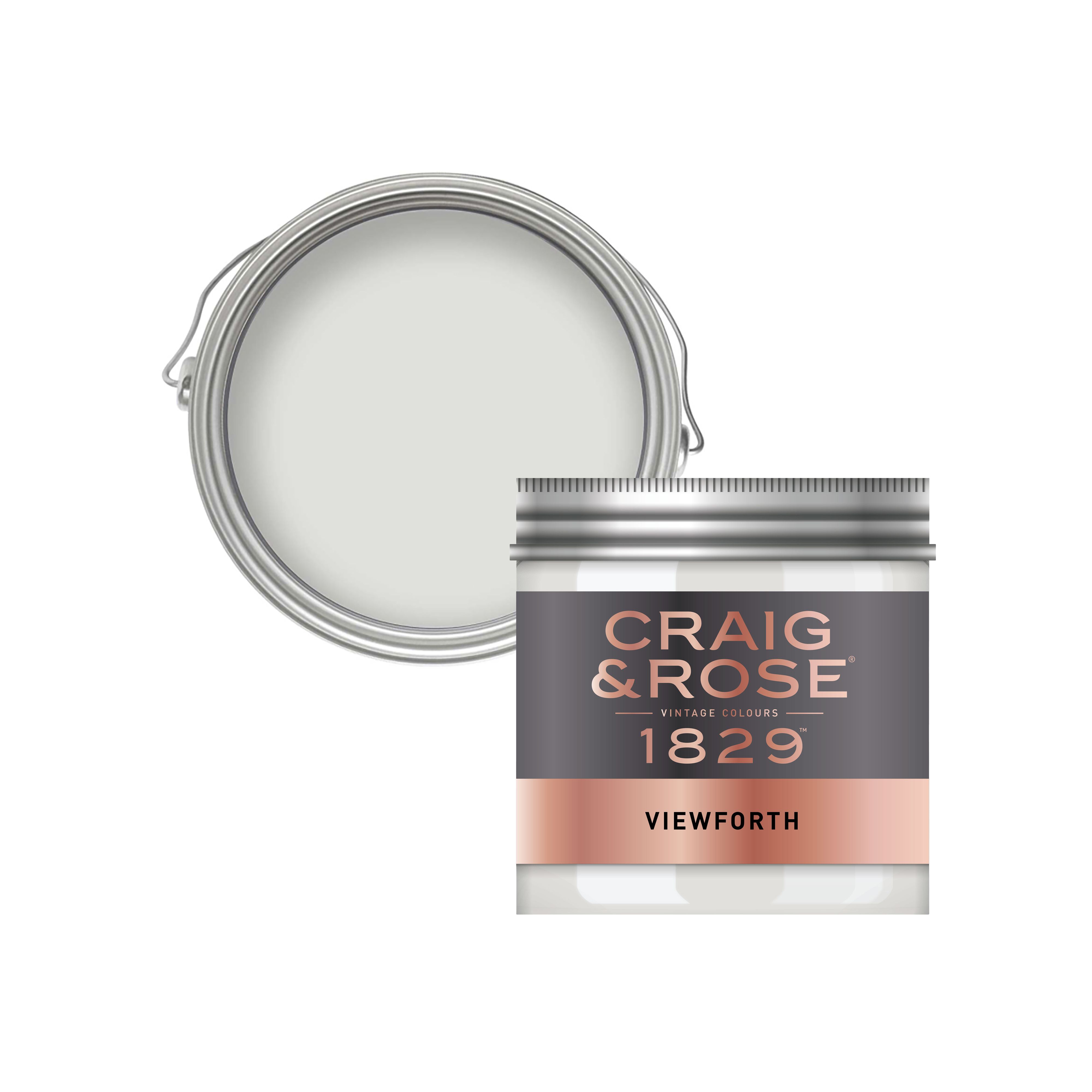 Craig & Rose 1829 Viewforth Chalky Emulsion paint, 50ml DIY at B&Q