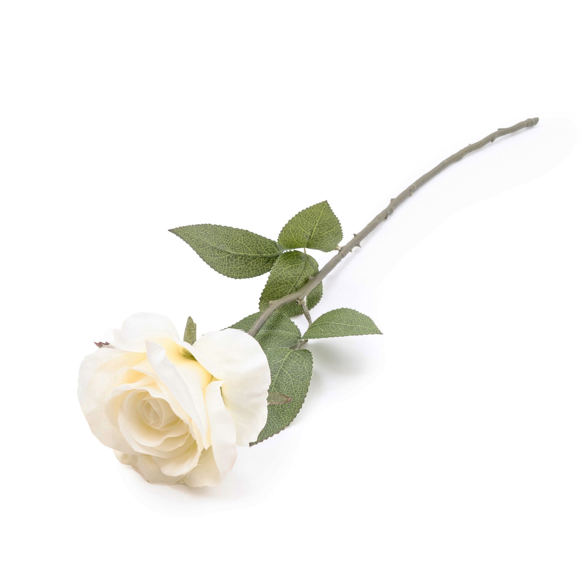 Cream Rose Single stem Artificial flower (H) 540mm