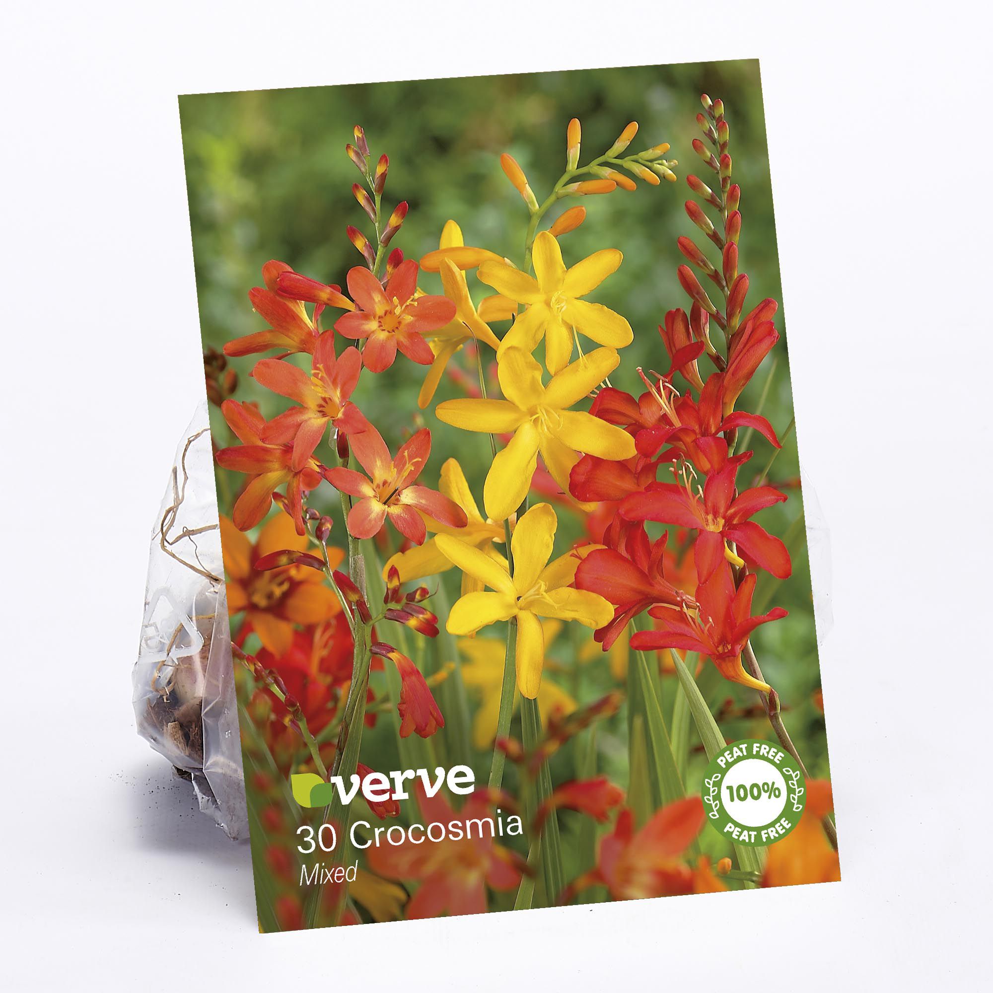 Crocosmia Mixed Flower bulb, Pack of 30