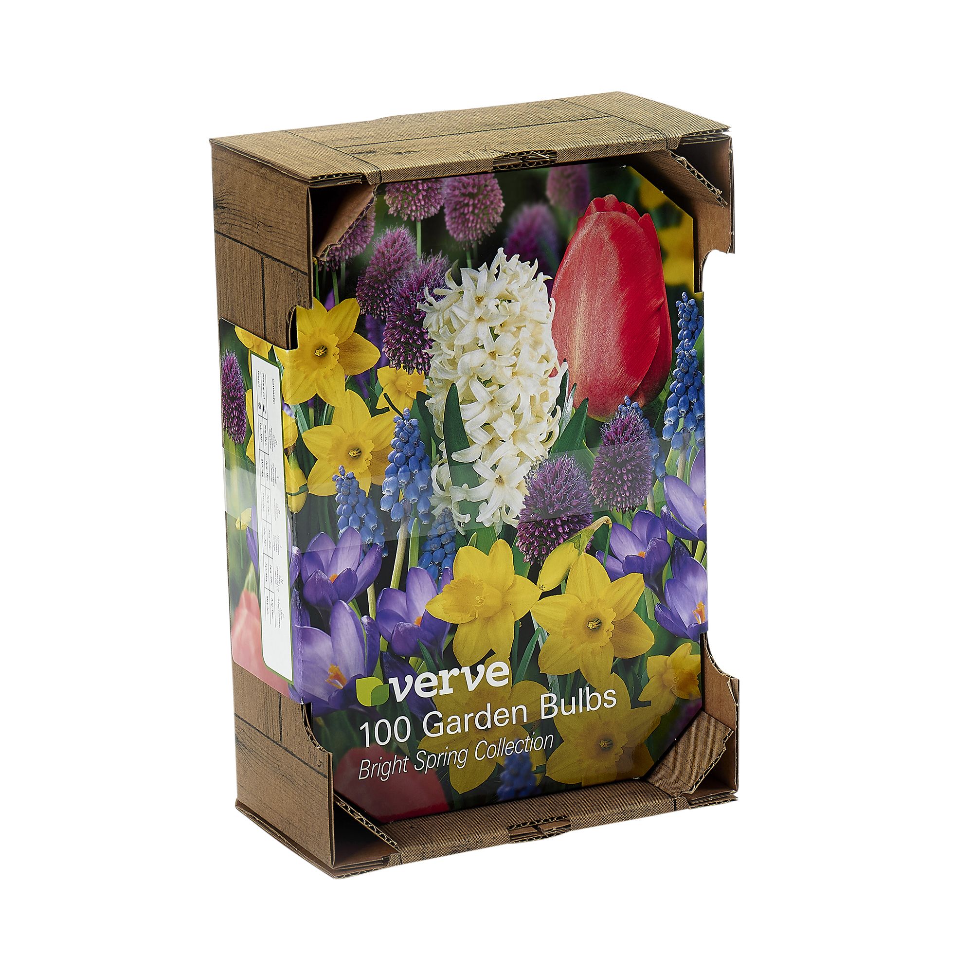 Crocus Ruby Giant, Daffodil California, Grape Hyacinth, Hyacinth Carnegie, Tulip Van Eijk, Dwarf Iris Pauline, Allium sphaerocephalon 100 Flower bulbs