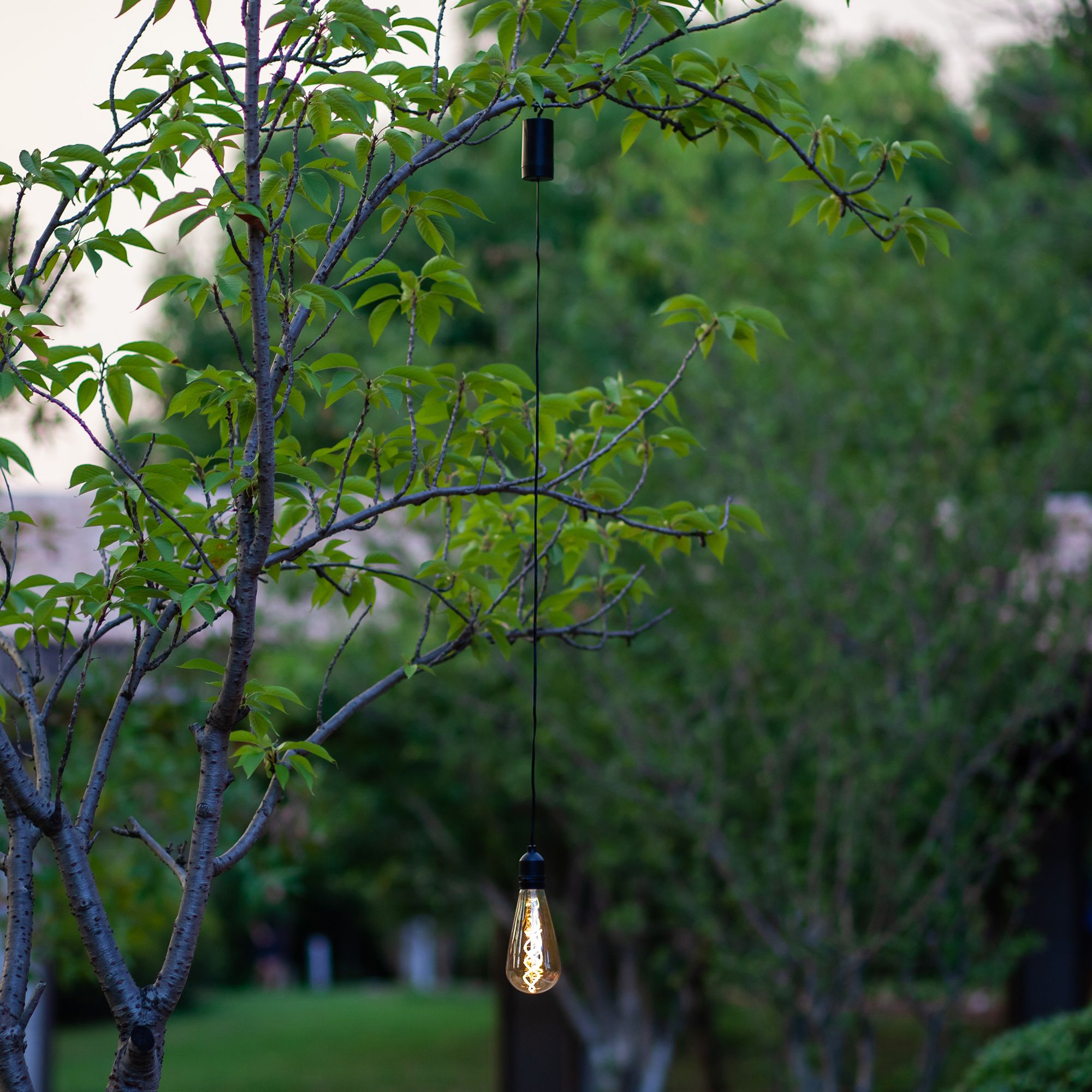 Cupabia Black & tawny Battery-powered Warm white Integrated LED Outdoor Decorative light