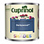 Cuprinol Garden shades Barleywood Matt Multi-surface Garden Wood paint, 125ml Tester pot