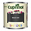 Cuprinol Garden shades Black Ash Matt Wood paint, 125ml Tester pot