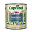 Cuprinol Garden shades Forget me not Matt Multi-surface Exterior Wood paint, 1L