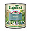 Cuprinol Garden shades Seagrass Matt Multi-surface Exterior Wood paint, 1L