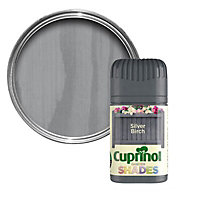 Cuprinol Garden shades Silver birch Matt Multi-surface Exterior Wood paint Tester pot