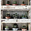 Cycas Multicolour Cactus Smooth Wallpaper