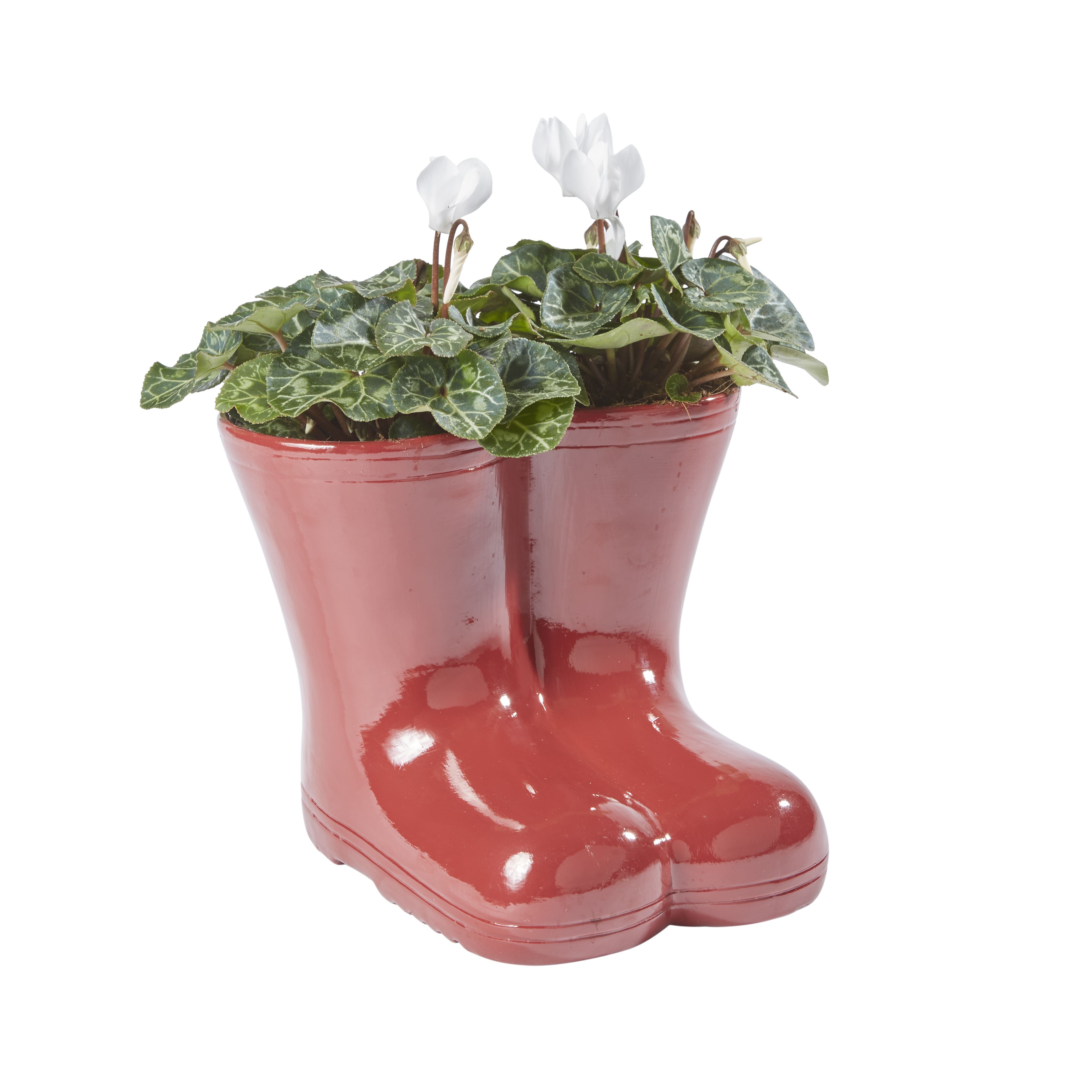 Ceramic on sale wellington boot