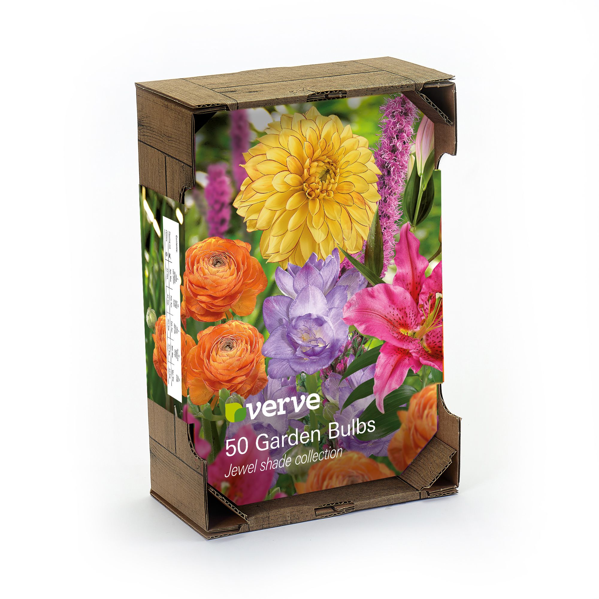 Dahlia Lake Ontario, Freesia Double Purple, Lilium Dark Pink, Ranunculus asiaticus Orange, Liatris spicata 50 Flower bulbs