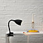 Dana Black Clip-on desk lamp
