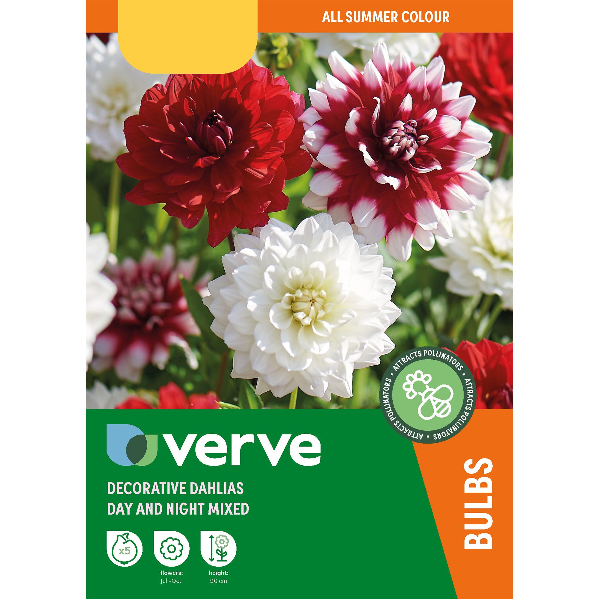 Decorative Dahlia Day & Night Mixed 5 Flower bulbs