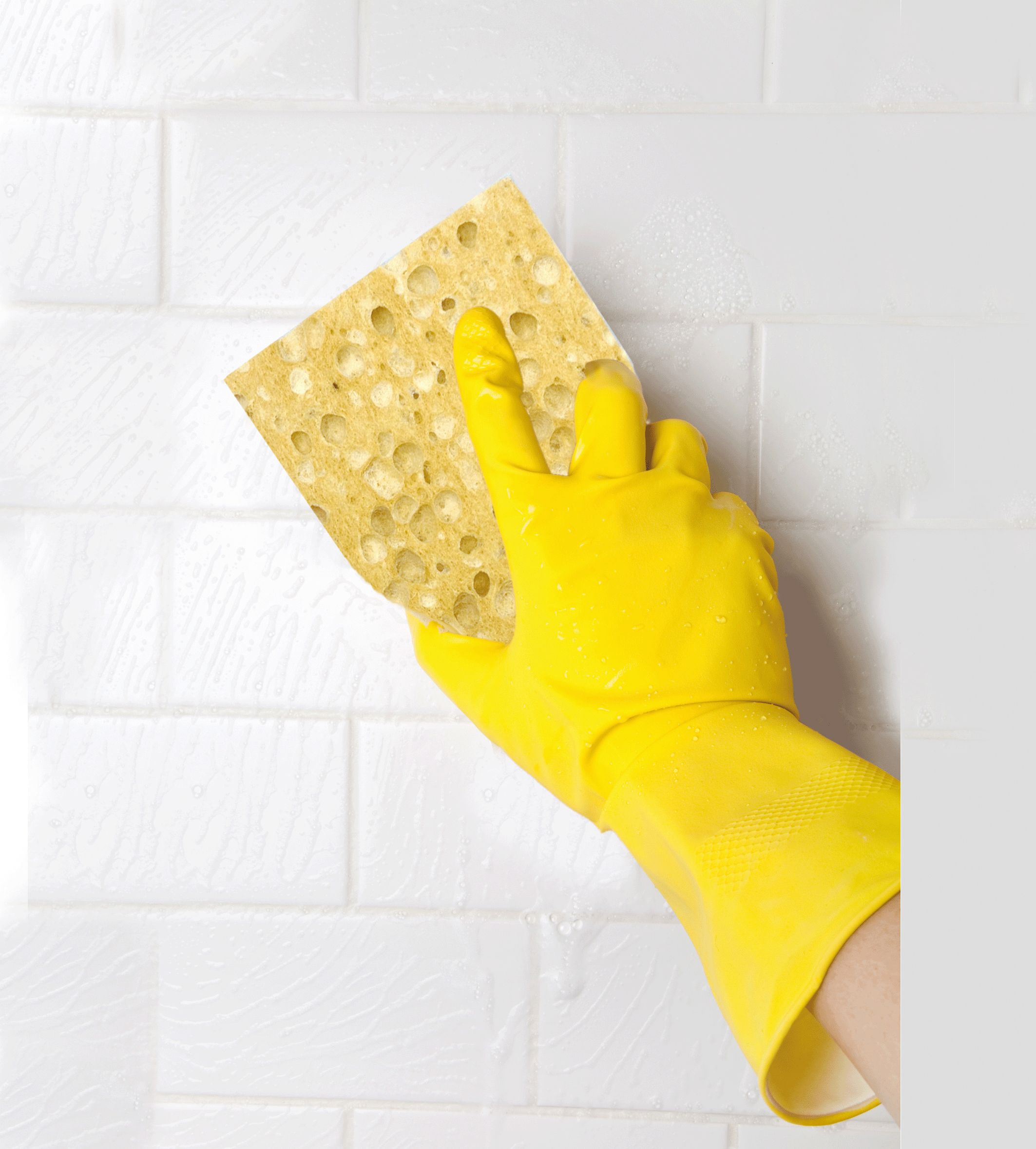 Decorators Cellulose Sponge