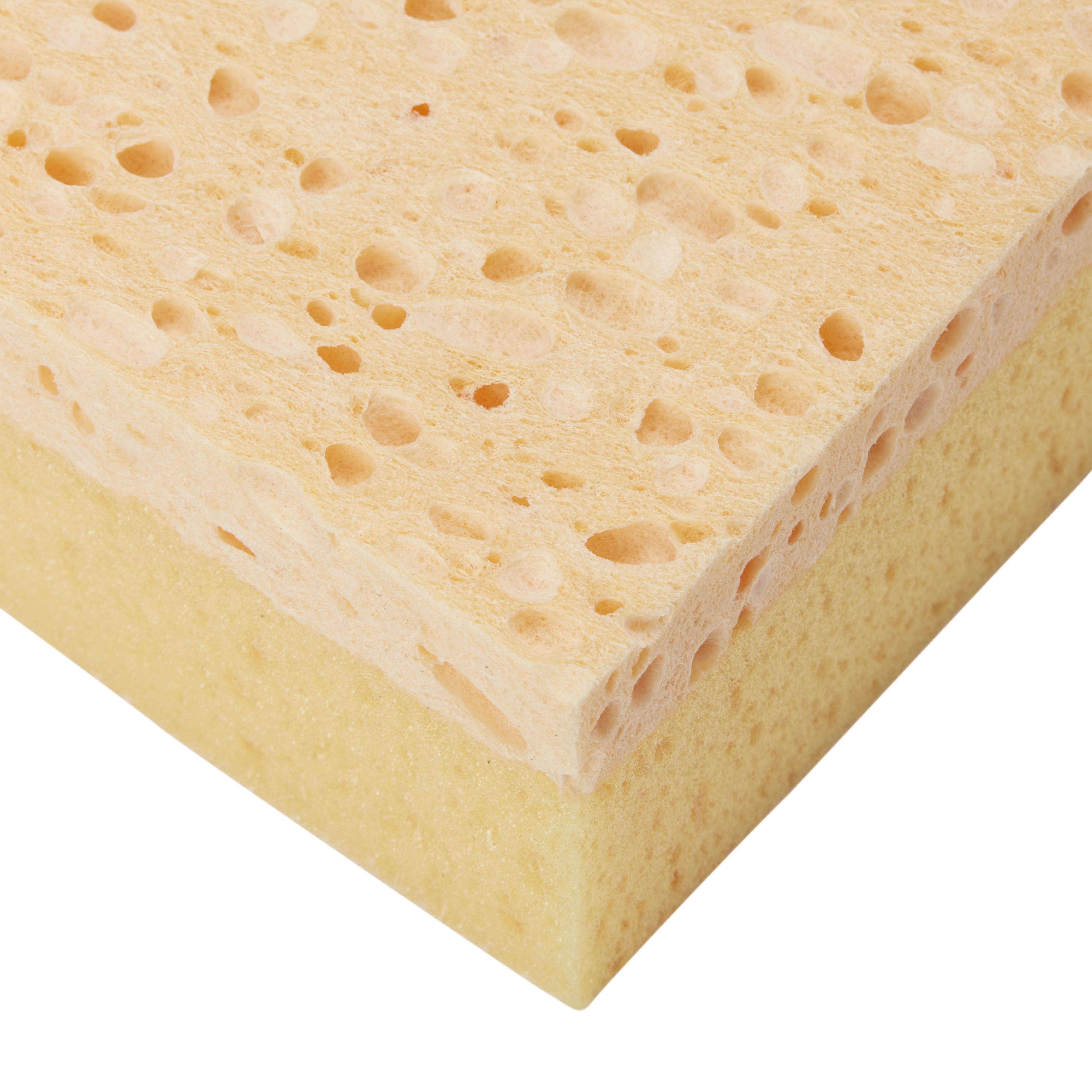 Decorators Cellulose & synthetic Sponge