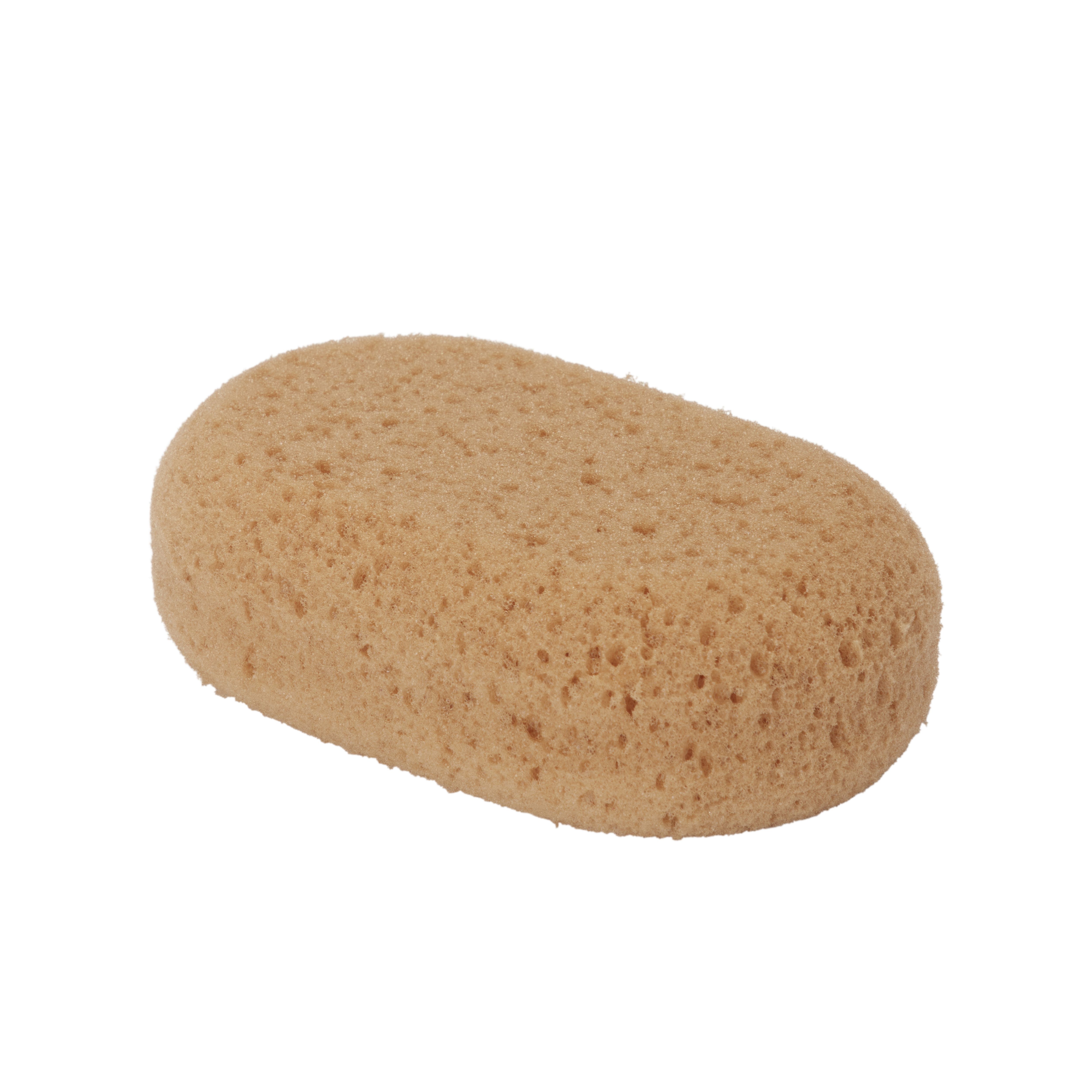 Decorators Synthetic sponge Sponge, Pack of 5