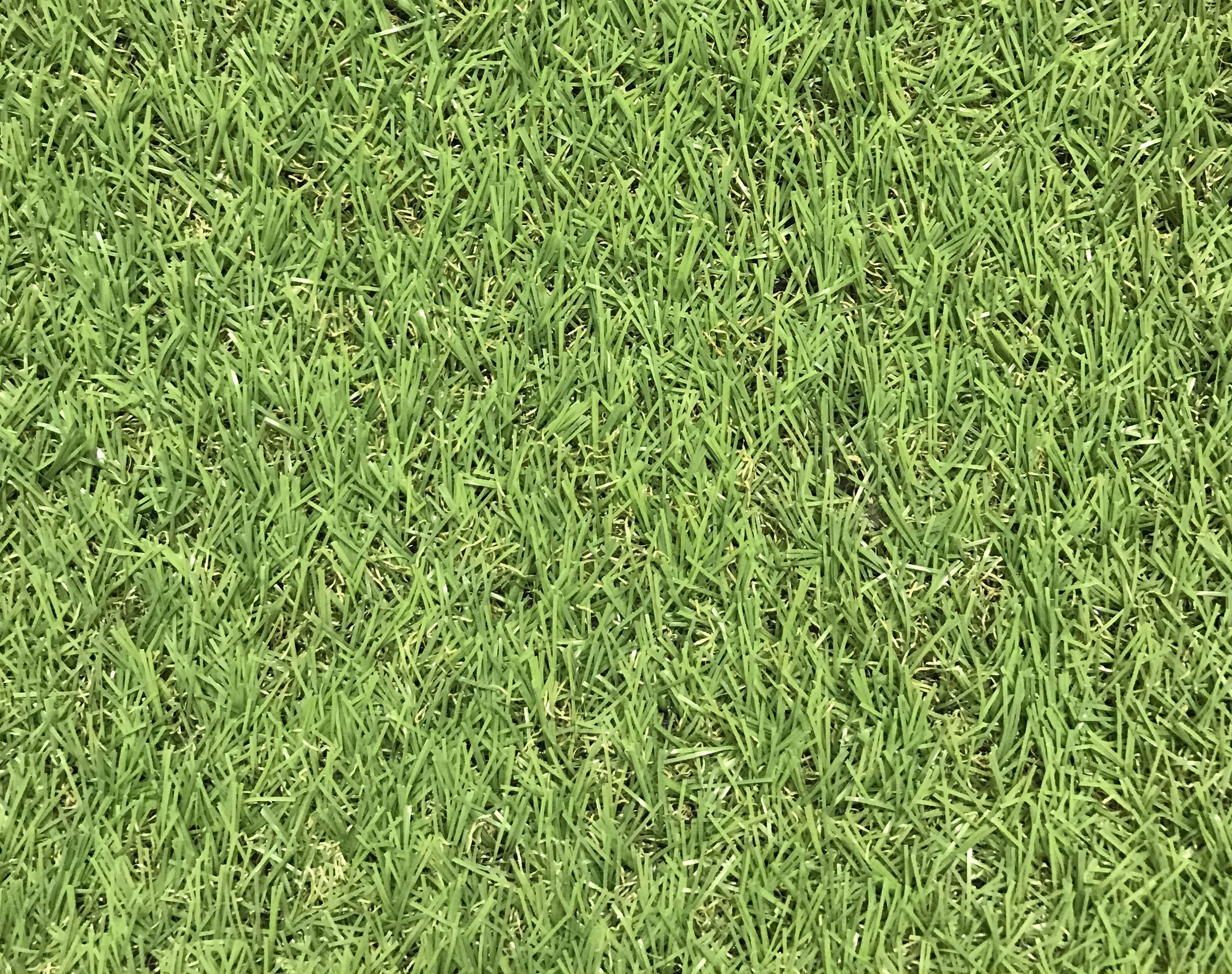 Dennis Medium density Artificial grass (L)4m (W)1m (T)22mm