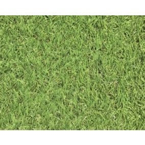 Dennis Medium density Artificial grass (L)4m (W)1m (T)22mm