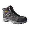 DeWalt Hiker Safety boots