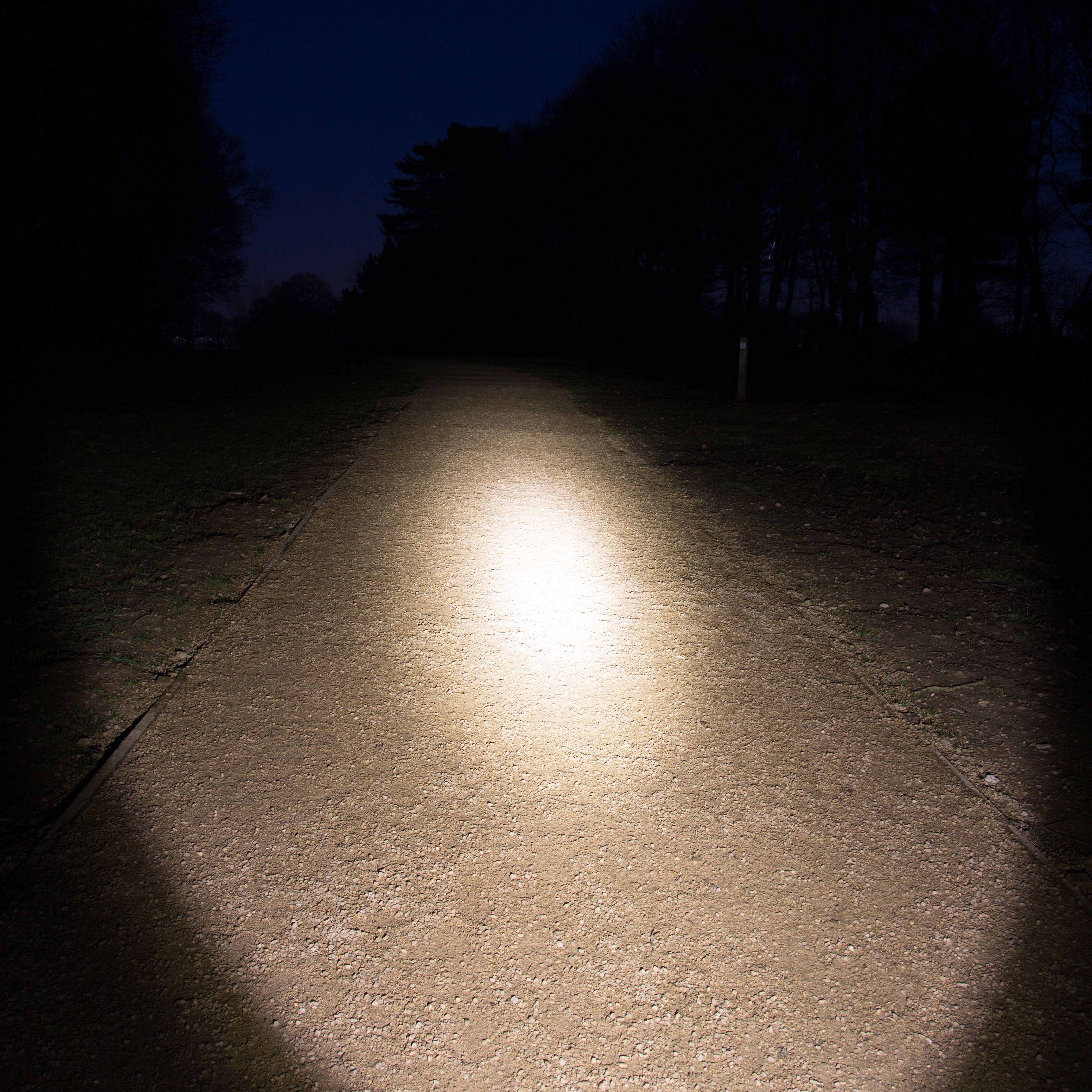 Diall 150lm LED Torch