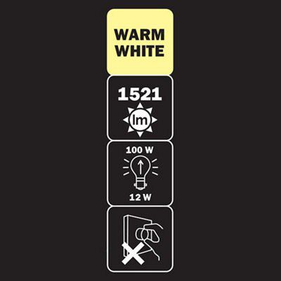 Diall B22 12W 1521lm Globe LED filament Light bulb