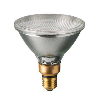 Standard flood store light bulb