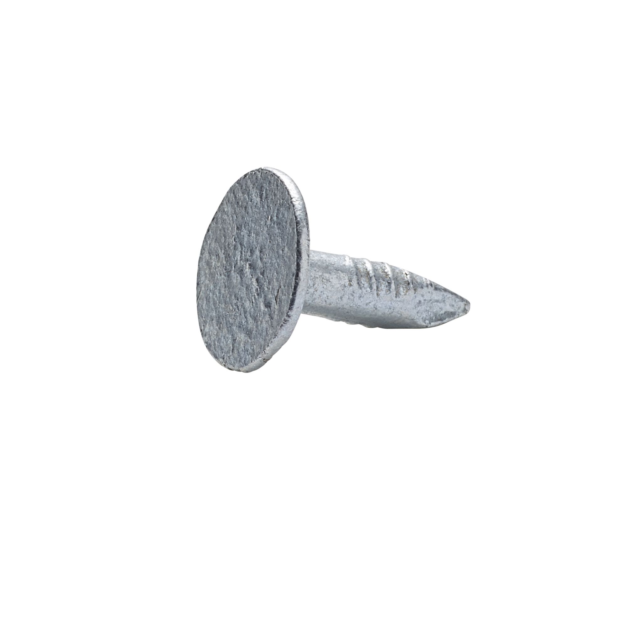 Diall Galvanised Clout nail (L)12mm (Dia)3mm 125g
